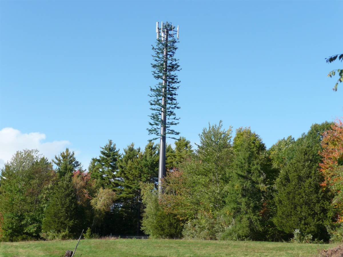 Cell_phone_tower_disguised_2008